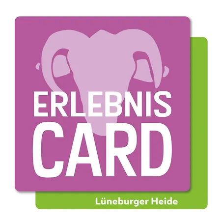 Holiday home Schils Zur Alten Heidegaertnerei - Keine Monteure! Bispingen