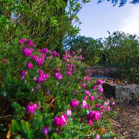 Дом отдыха Schils Zur Alten Heidegaertnerei - Keine Monteure!